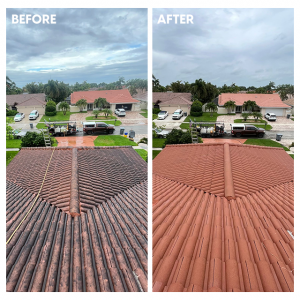 Roof Washing Service by EM Pressure Washing