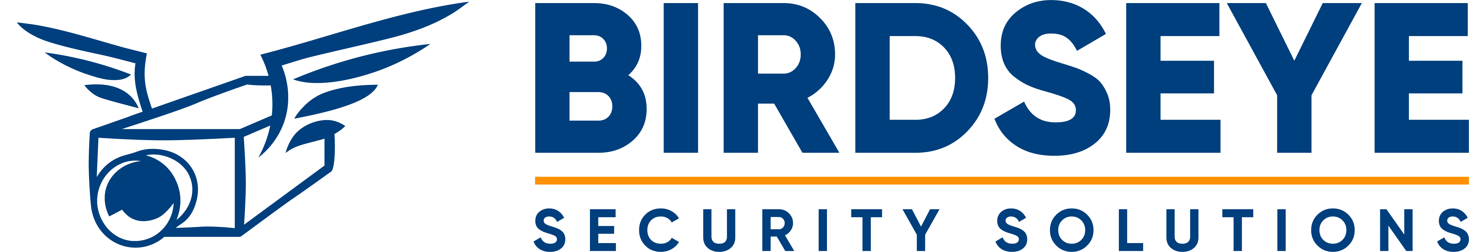 BIRDSEYE Security Solutions