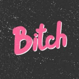 image album Bitch