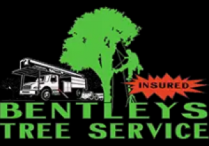 Bentley s Tree Service