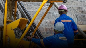 The African Rare Earth Mineral Fund