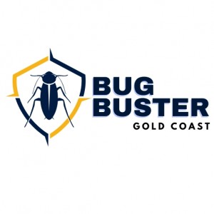 Bug Buster Gold Coast: Your Trusted Local Termite and Pest Control Experts in Gold Coast