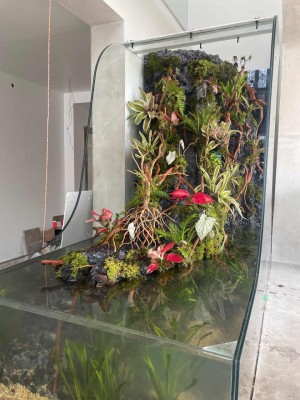 WhatsApp Image 2025 09 19 at 10 19 35