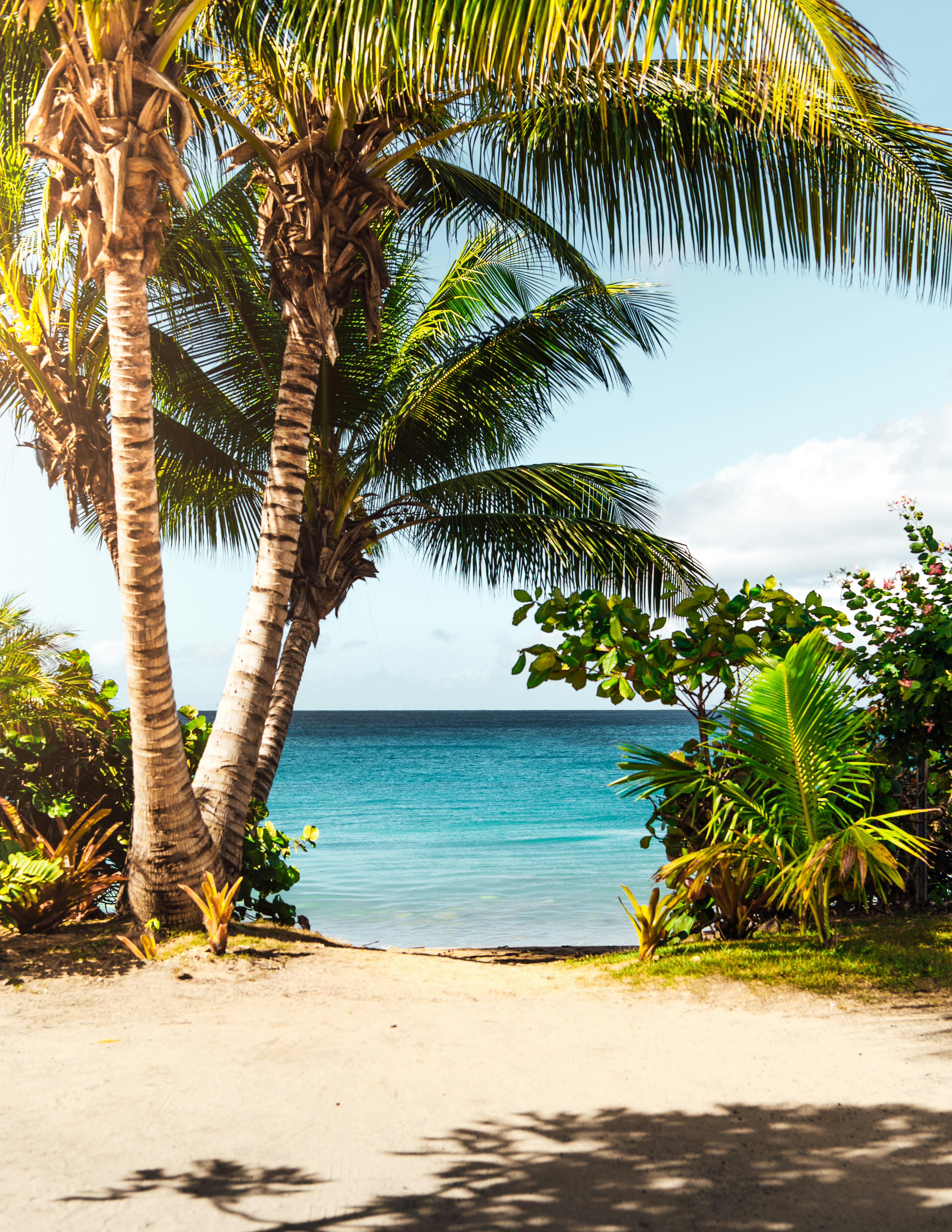 Aruba Aruba