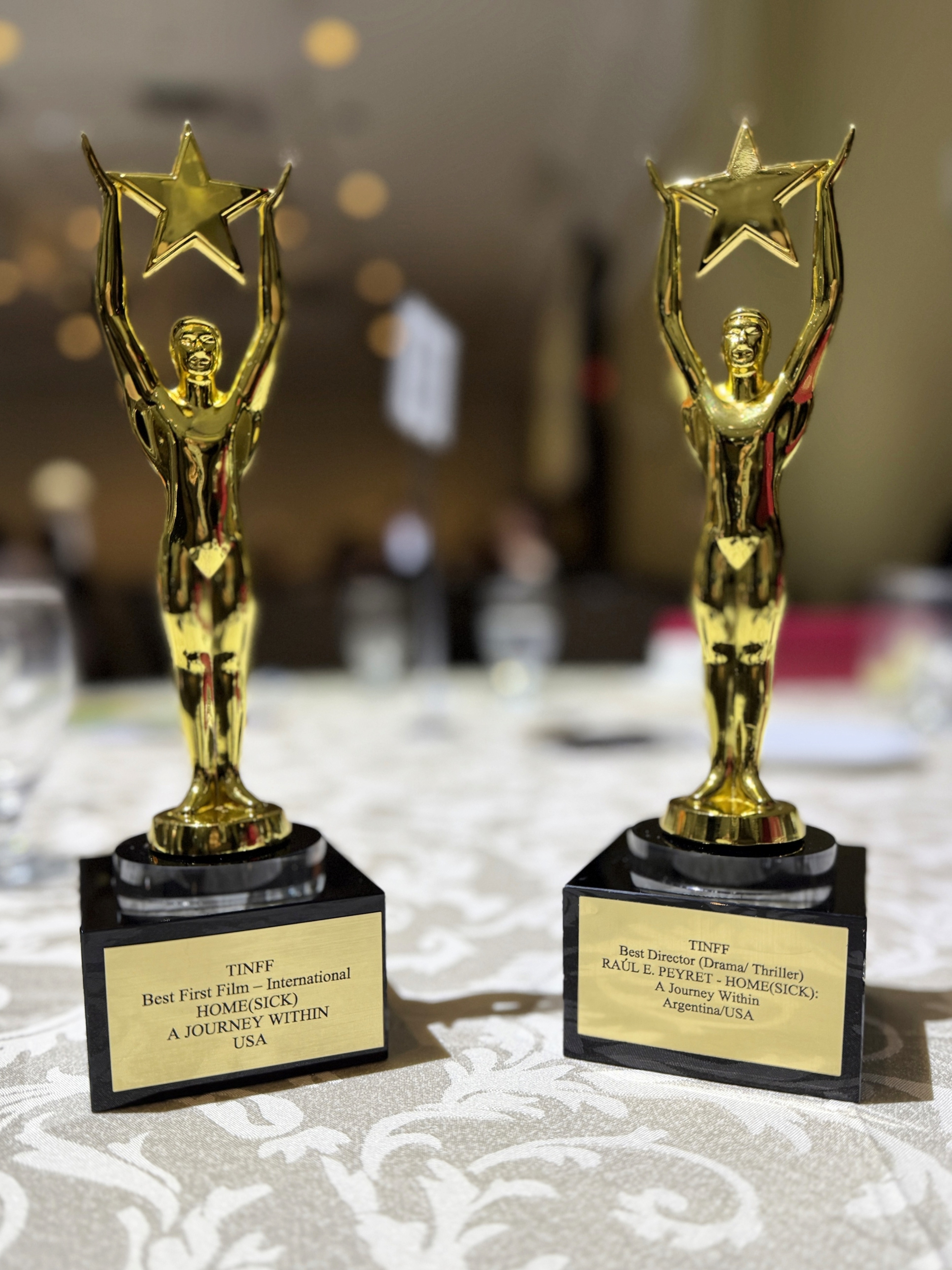 TINFF 2025 Homesick wins Best First Film International  Best Director DramaThriller