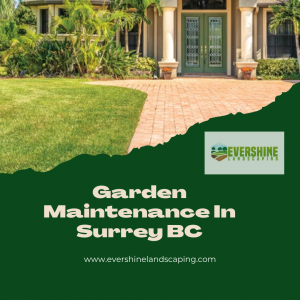 Garden maintenance in surrey