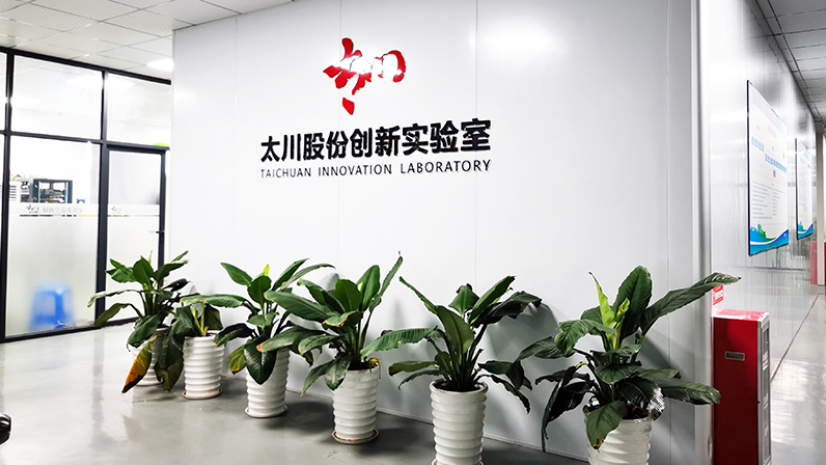 leading China IP based Vdp companies