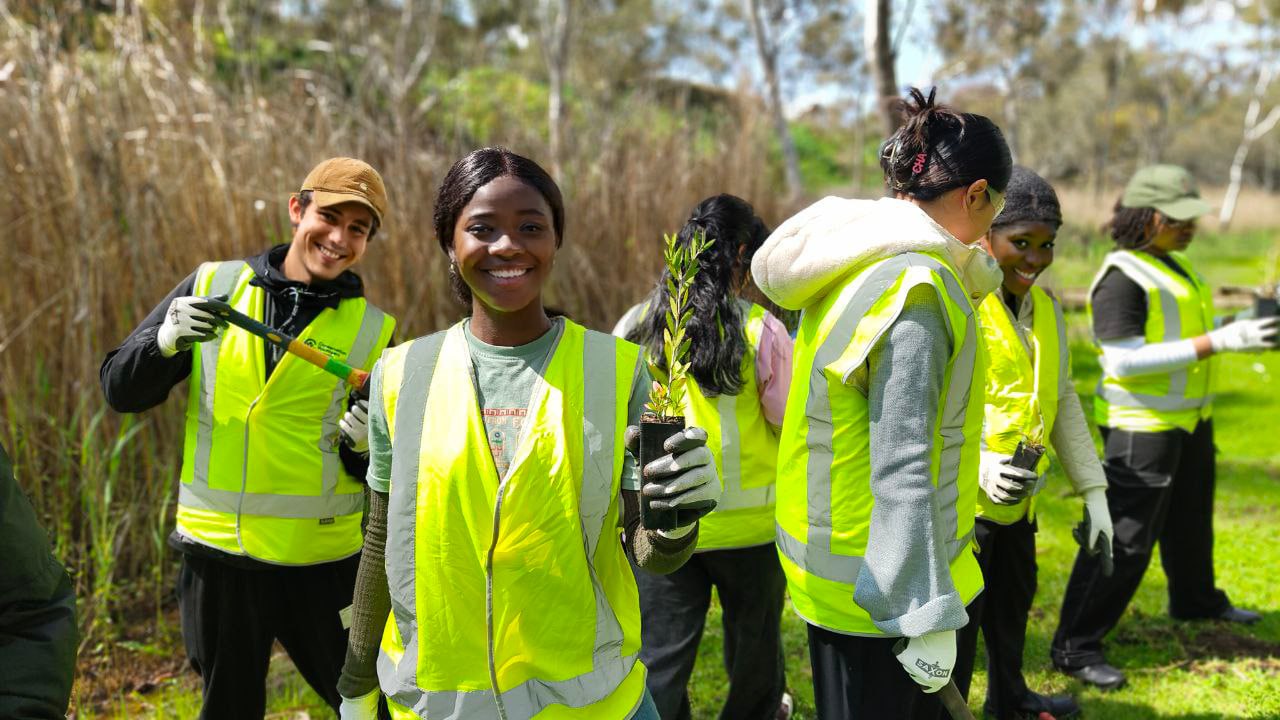 Planted 1000 native trees at River Drive Reserve with local council