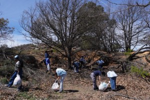 Canberra collected 5 bags of rubbish and conducted weeding at Ainslie Volcanics Grasslands