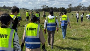 Sydney volunteers planted 1,200+ native trees at Bruce Farm, Campbelltown