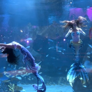 Mermaid show in Aquarium Aquamermaid
