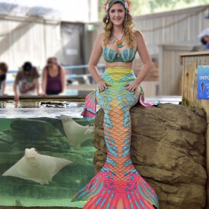 Mermaid sitting at aquarium with sting rays Aquamermaid