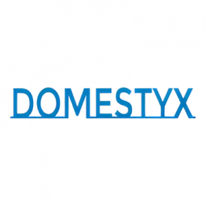Domestyx logo 1