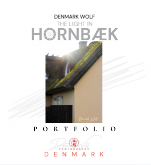 Cover Image The Light in Hornbæk