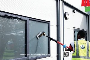 Global Lifelines at Work