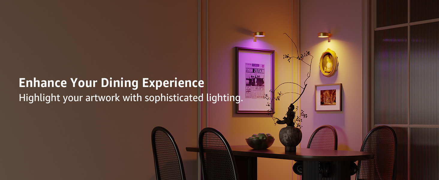 RGB Rechargeable Picture Lights with Remote