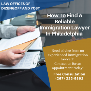 Reliable Immigration Lawyeryer