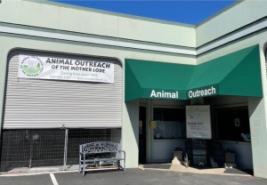 Animal Outreach Current Home