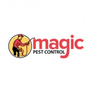 magic logo