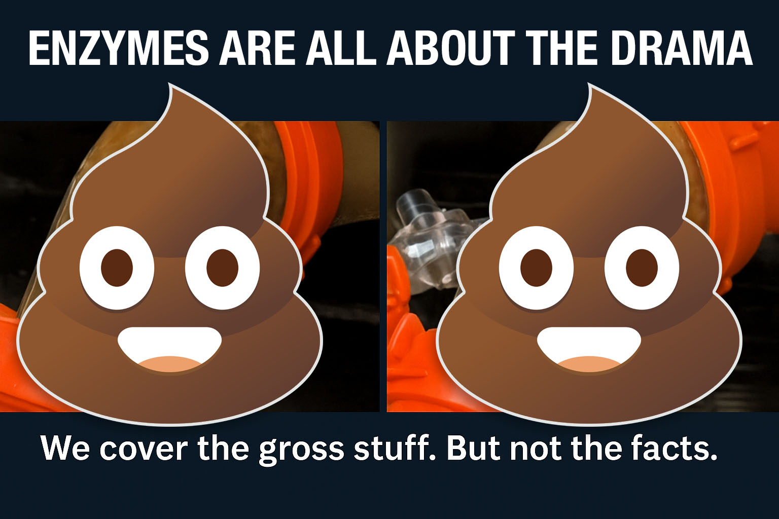 enzymes drama enzymes drama