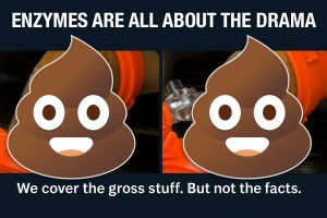 enzymes drama