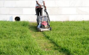 lawn aeration