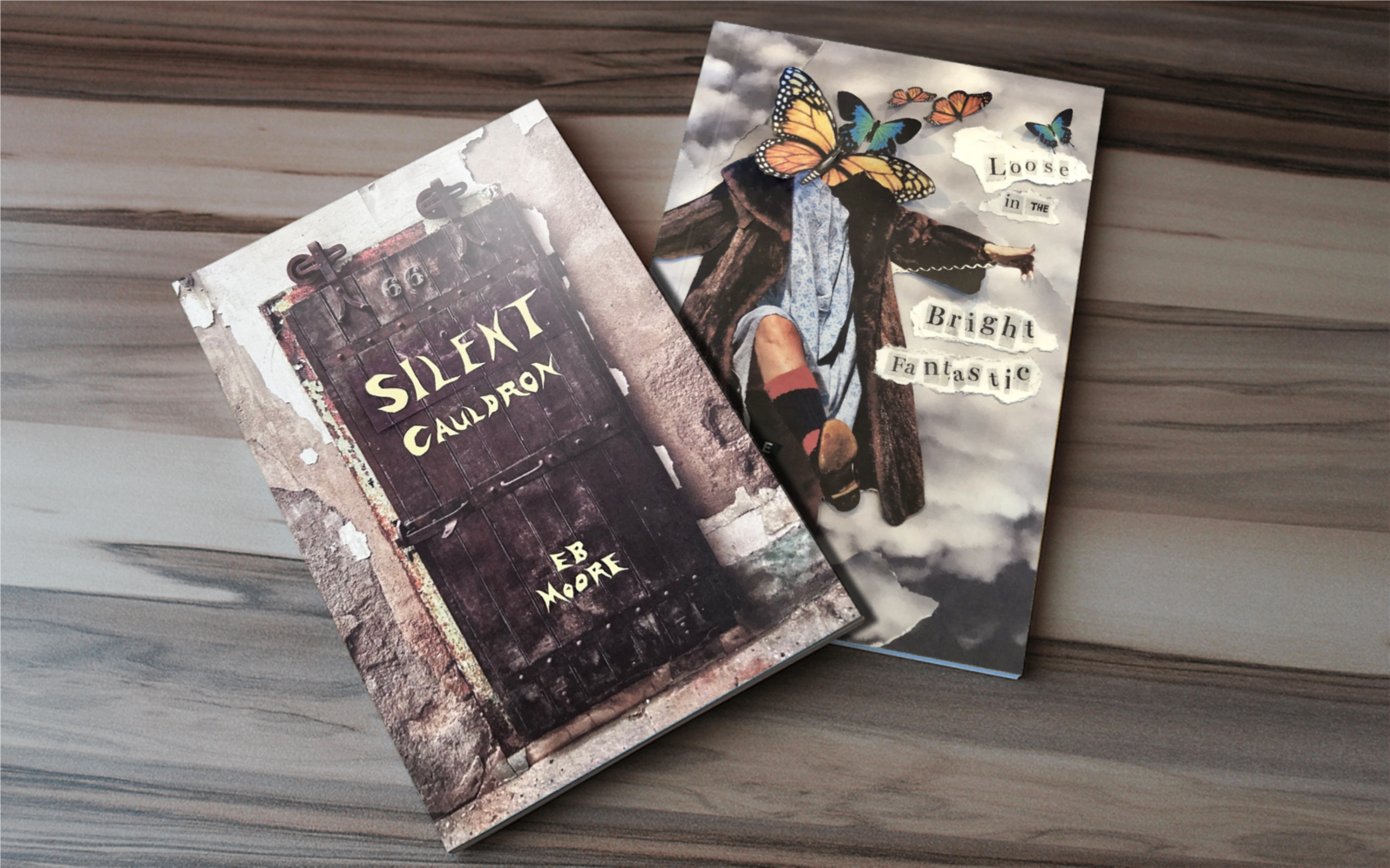 Silent Cauldron by EB Moore now available from Frayed Edge Press
