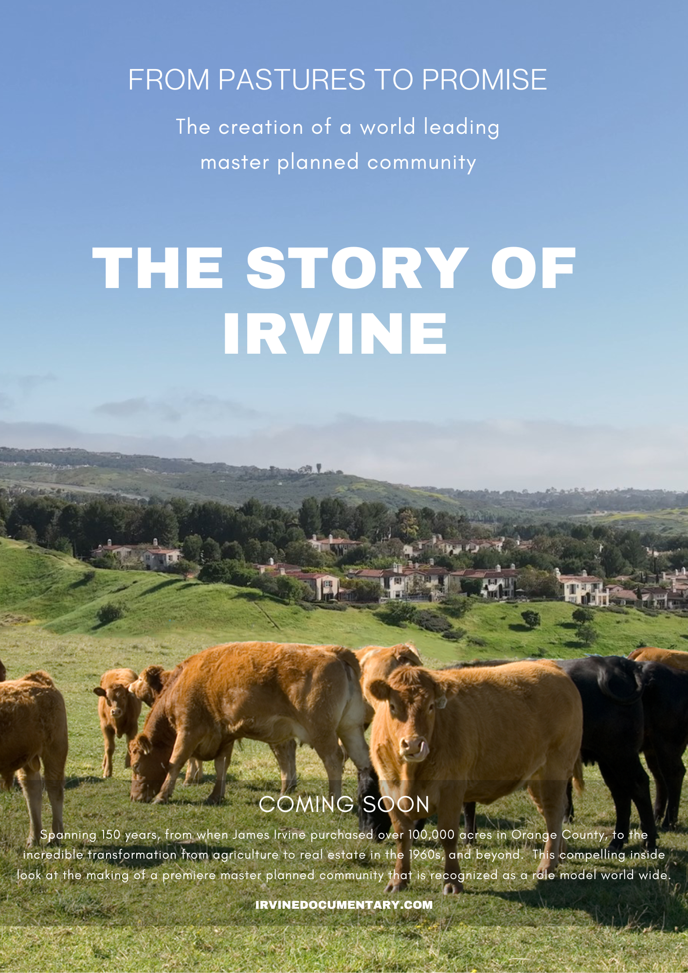 The Story of Irvine Movie Poster The Story of Irvine Movie Poster