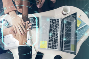 software project consulting