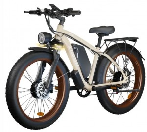 e bike