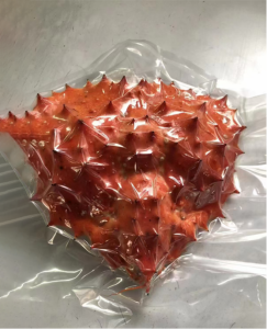 Packaging Packaging