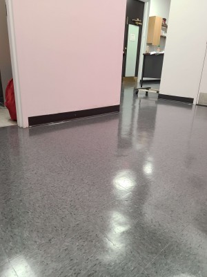 Commercial window washing services in Indianapolis