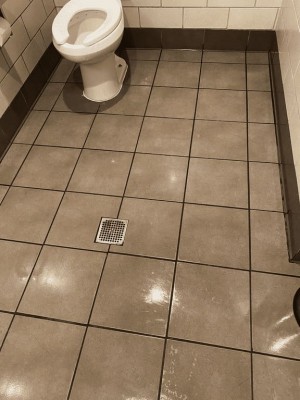 Restaurant sanitation & floor care