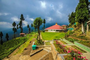darjeeling luxury resorts