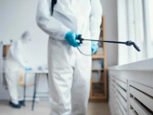 Commercial Pest Control