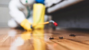 Residential Pest Control