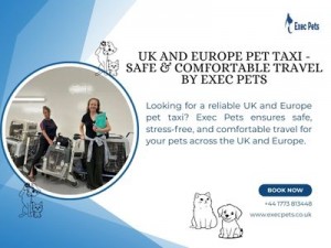 UK and Europe Pet Taxi Safe Comfortable Travel by Exec Pets