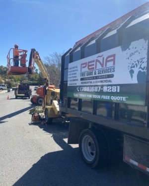 pts 17 qboljs1il7bff7if36s72mqfw4z0e4v9cdi7x7cq5c 2