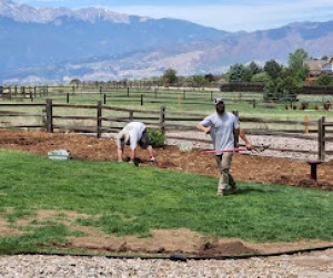 Colorado Springs Irrigation