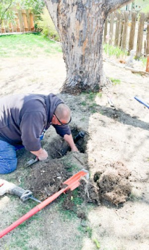 Sprinkler Blowout Colorado Springs