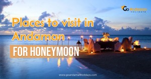 andaman and nicobar couple package