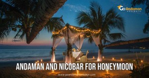 places to visit in andaman for honeymoon