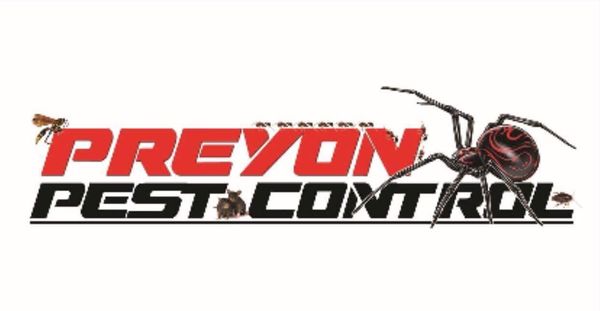 preyon logo 1 preyon logo 1