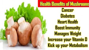 Buying Oyster Mushroom Get More Easy By Vrishti-Explanation