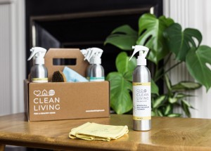 Complete Cleaning Caddy