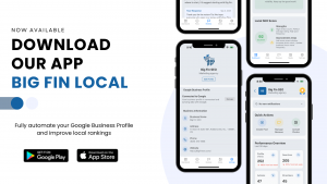 Big Fin Local App