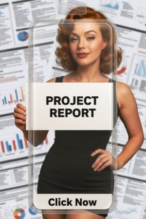Project reports