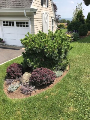 best landscaping company