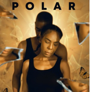 Feature Film Polar - 