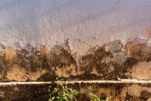 Mr. Leak Launches Emergency Water Damage Restoration Services in Manchester